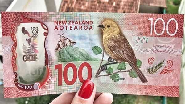 Форекс прогноз и аналитика NZD/USD на 29 марта 2023