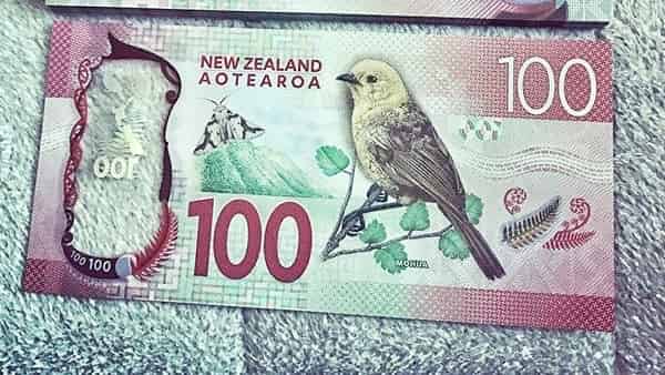 Форекс прогноз и аналитика NZD/USD на 19 января 2018
