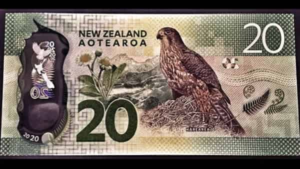 Форекс прогноз и аналитика NZD/USD на 19 апреля 2024