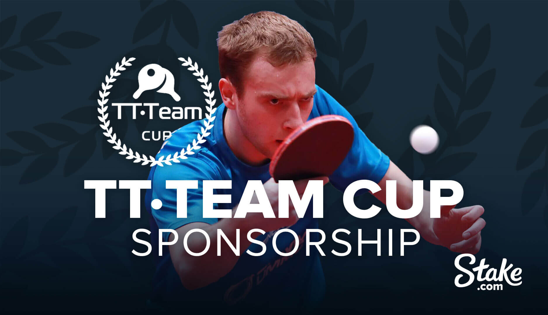 Stake.com объединяет усилия с TT Cup