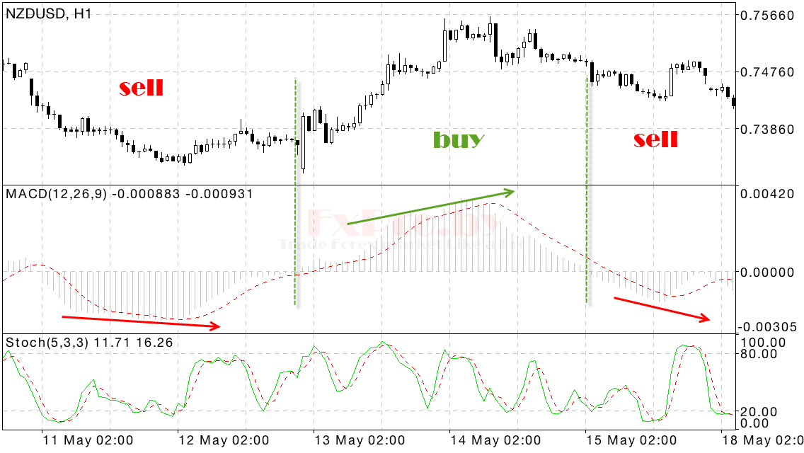 Направление тренда по MACD + Stochastic