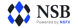 Брокер NSBroker