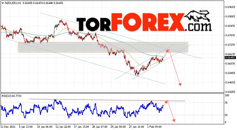 Форекс прогноз и аналитика NZD/USD на 4 февраля 2022