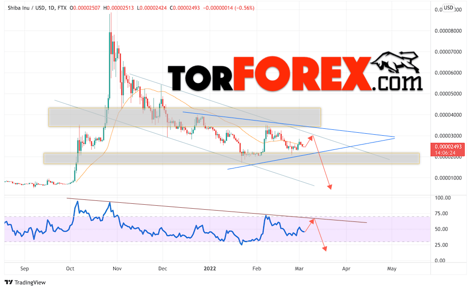 SHIBA INU прогноз на монеты 7 — 11 марта 2022