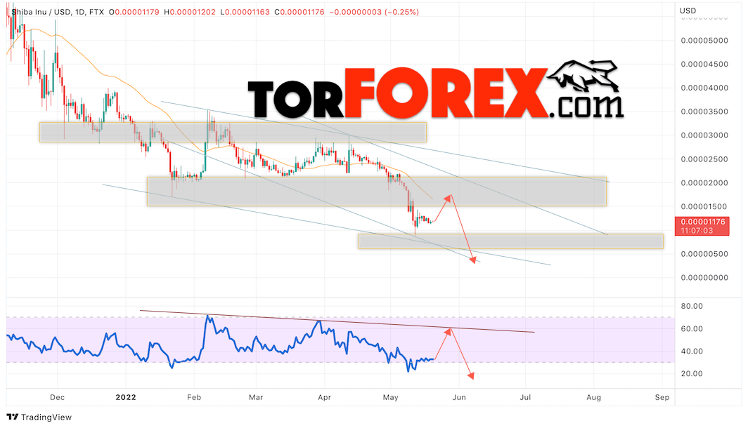 SHIBA INU прогноз на монеты 23 — 27 мая 2022