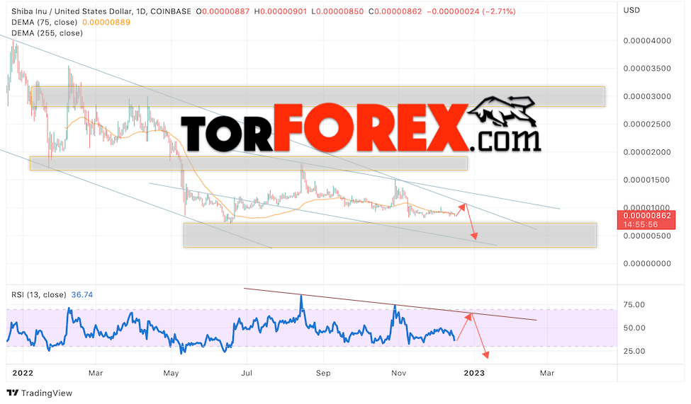 SHIBA INU прогноз на 19 — 23 декабря 2022