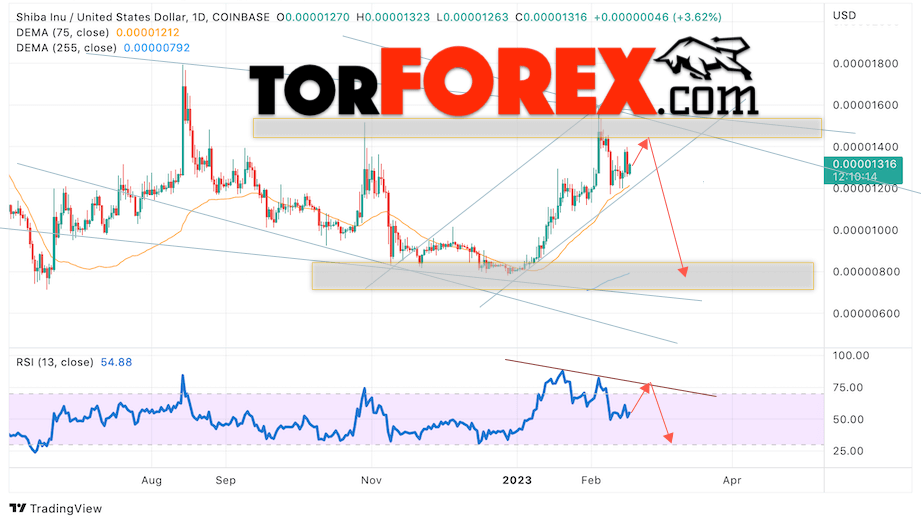 SHIBA INU прогноз на 20 — 24 февраля 2023