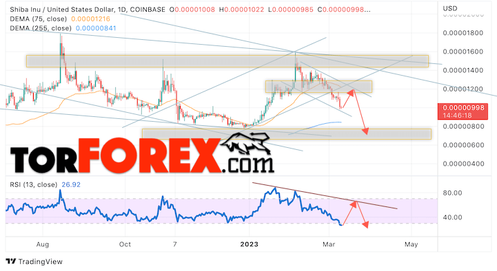 SHIBA INU прогноз на 13 — 17 марта 2023
