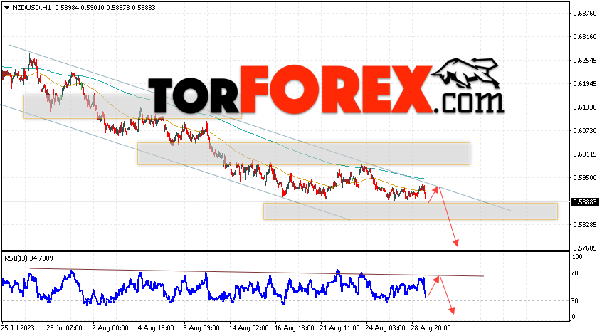 Форекс прогноз и аналитика NZD/USD на 30 августа 2023