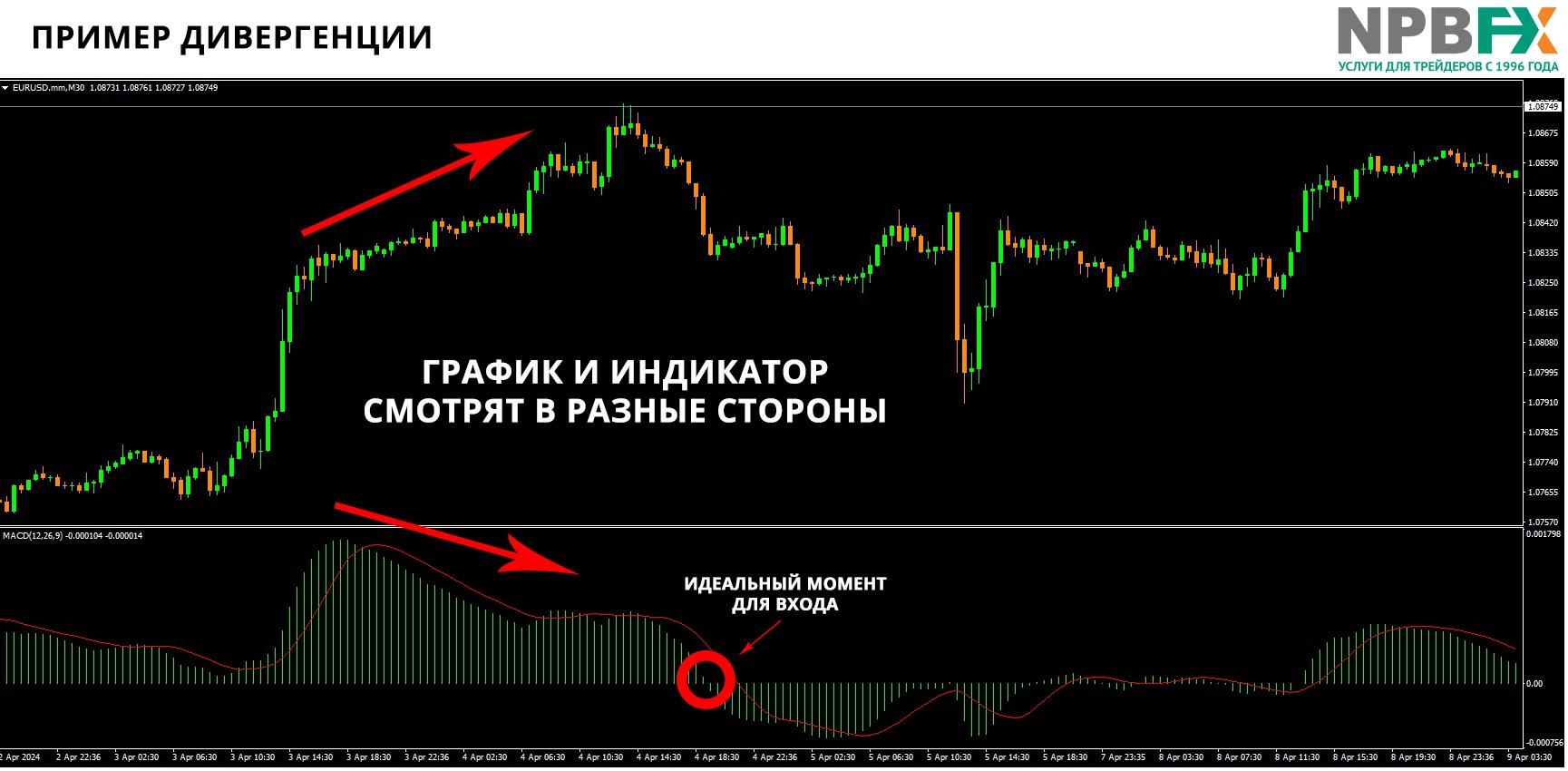 MACD стратегия для начинающих: разбор на примерах