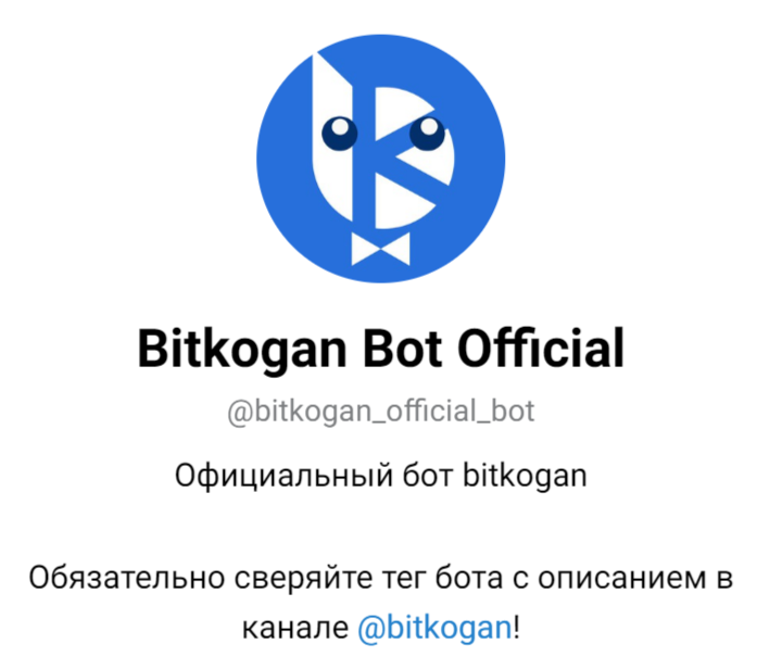 bitkogan дзен блоггер отзывы bitkogan дзен блоггер отзывы