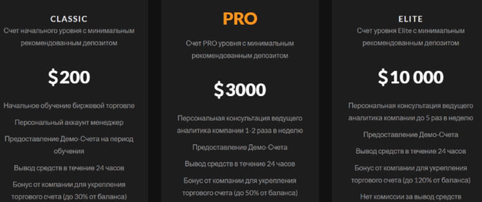 bitnex24 net bitnex24 net