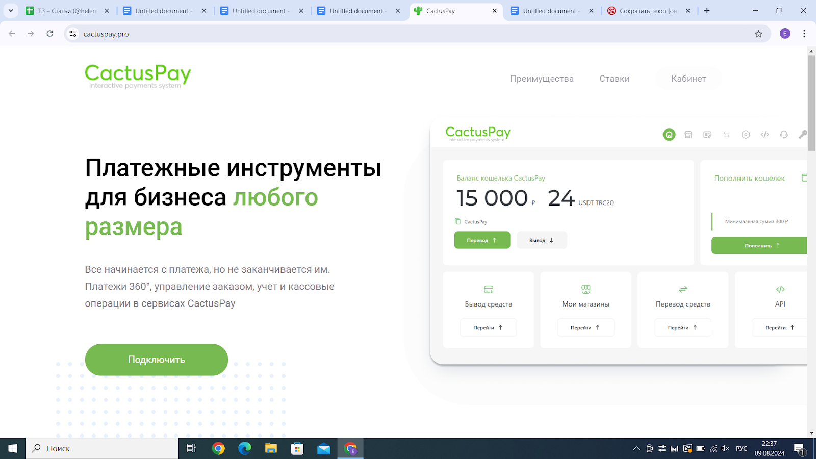 cactus pay cactus pay