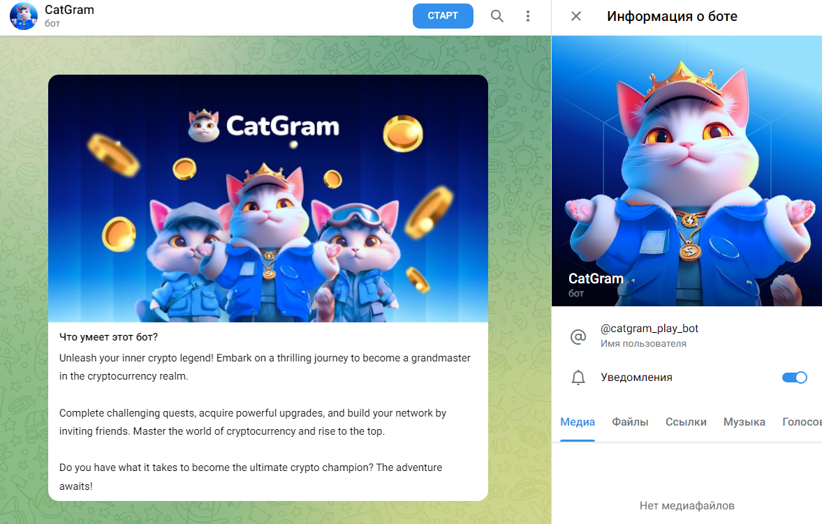 catgram тг catgram тг
