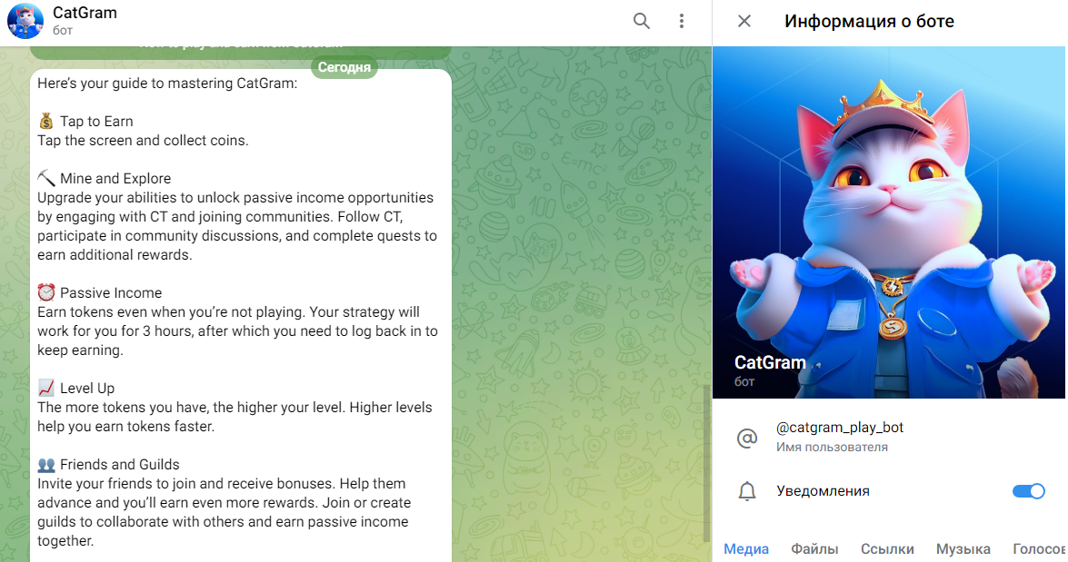 catgram catgram