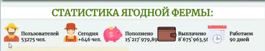 farm berry com farm berry com