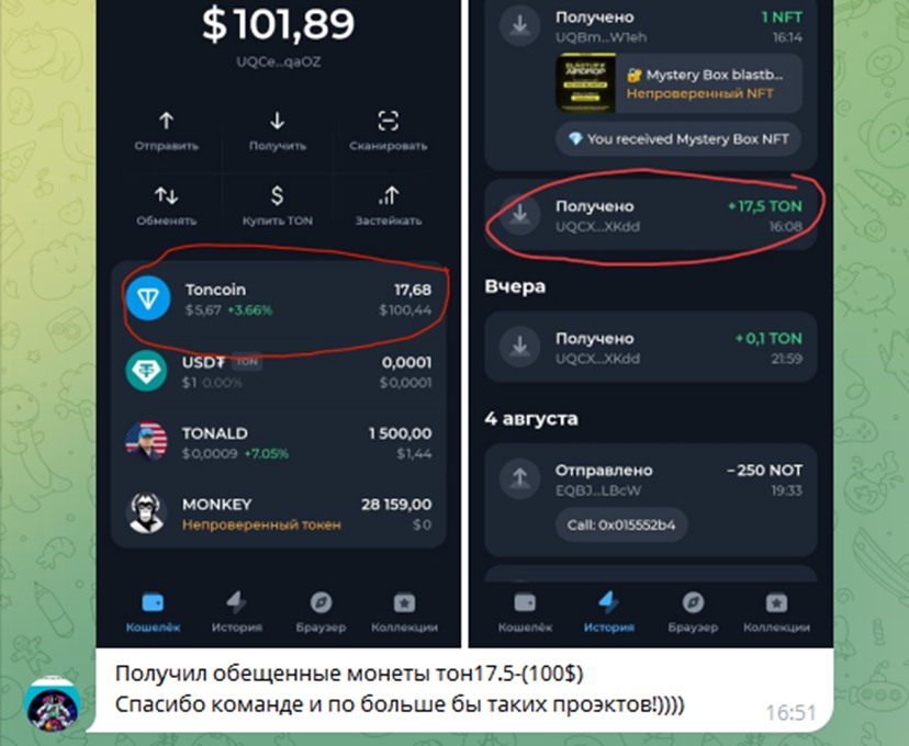 фрутон крипто фрутон крипто
