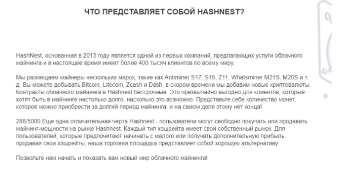 hashnest hashnest