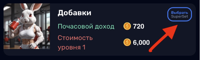 rocky rabbit комбо дня