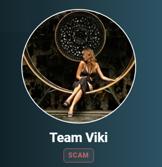 team viki team viki