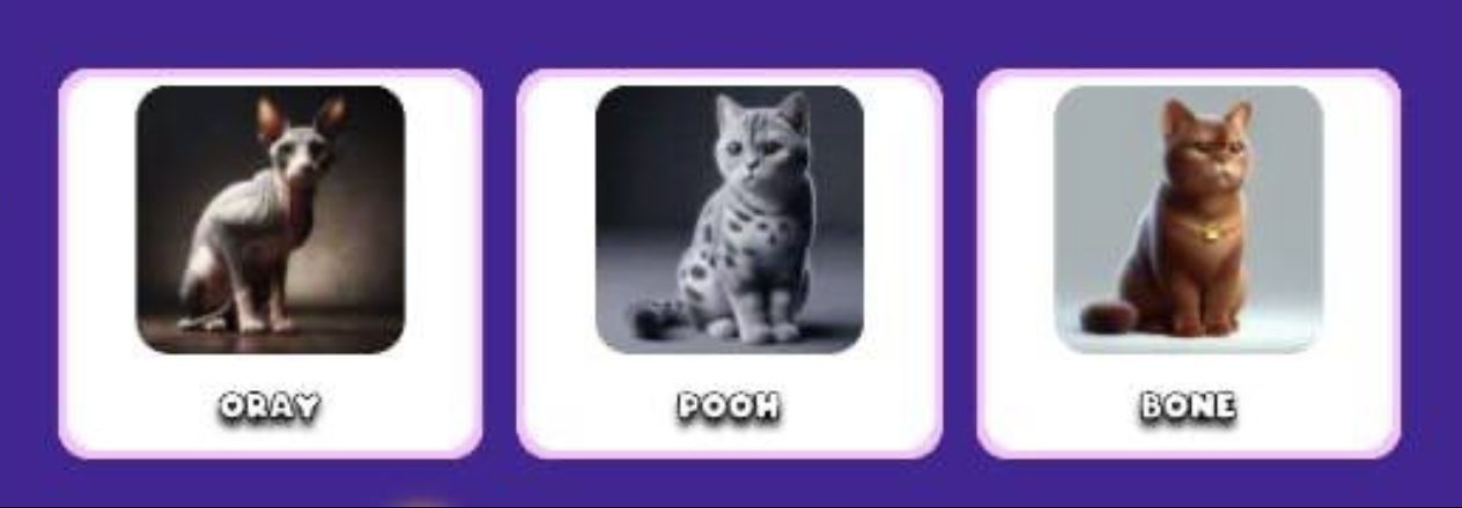 Cat ID Paws комбо дня Cat ID Paws комбо дня