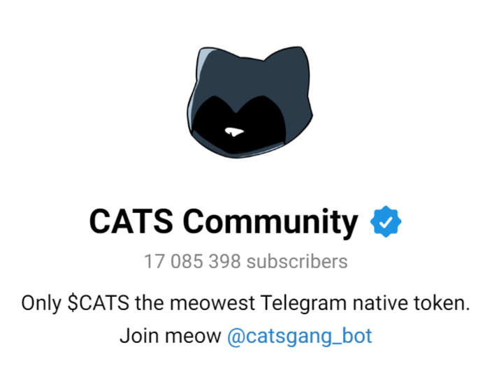 catsgang bot обзор catsgang bot обзор