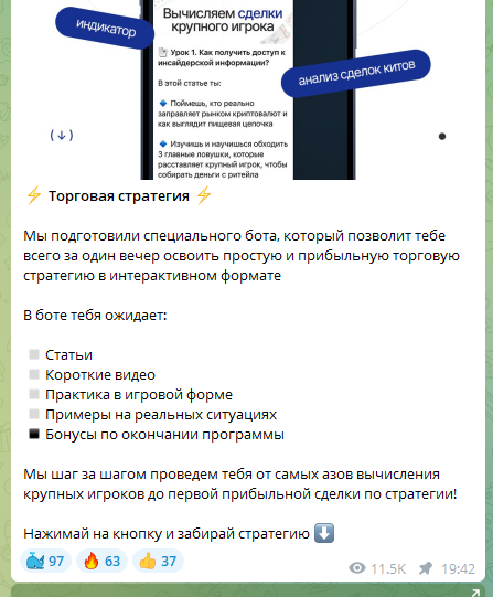 cryptomentors cryptomentors