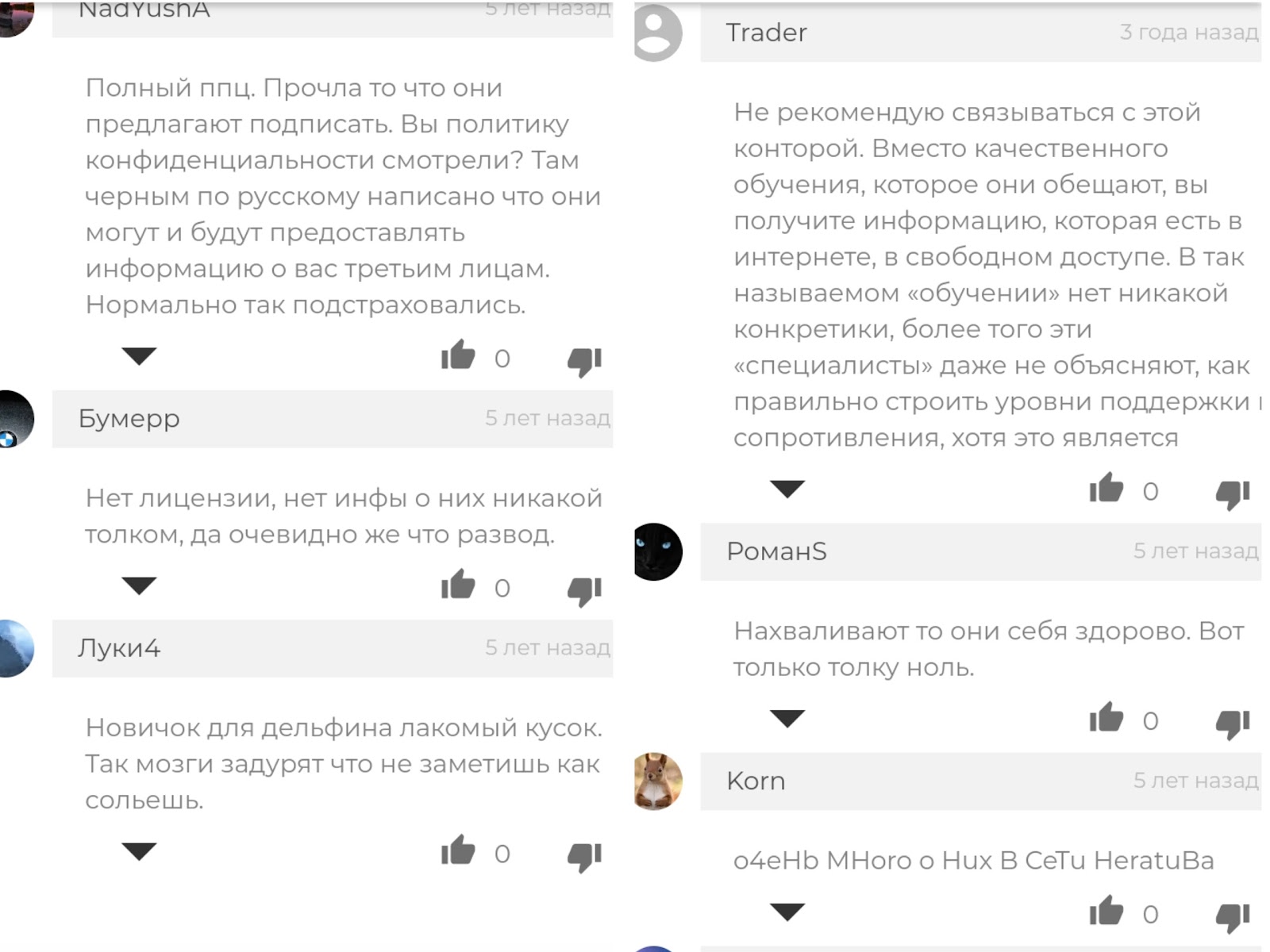 Dolphin Traders com Трейдинг Фондовый рынок Dolphin Traders com Трейдинг Фондовый рынок