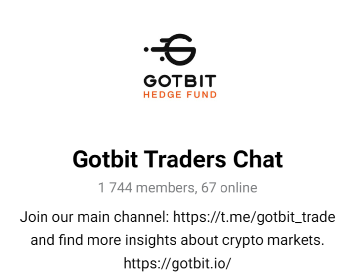gotbit hedge fund gotbit hedge fund