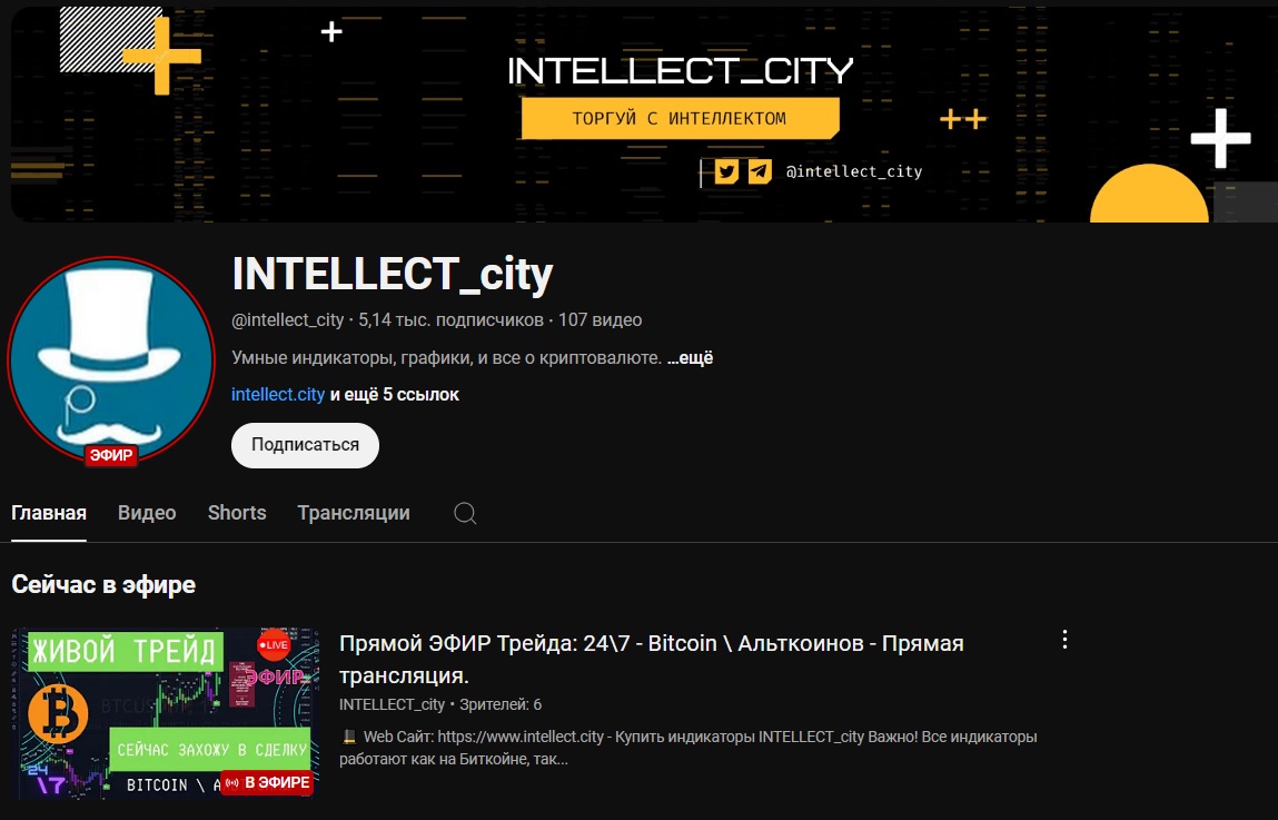 intellect city intellect city