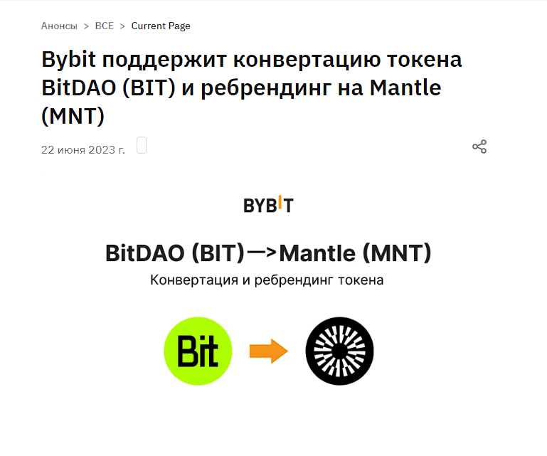 mantle mnt mantle mnt