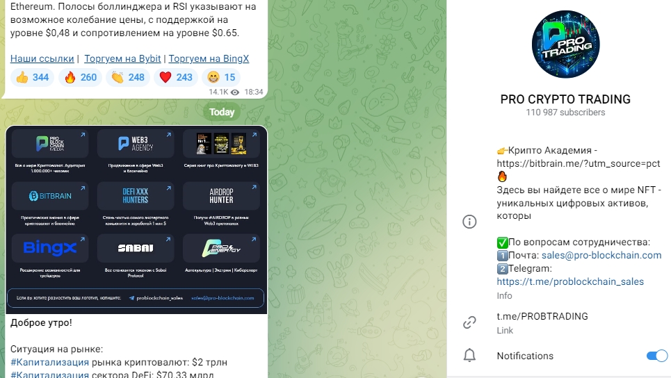 pro blockchain pro blockchain