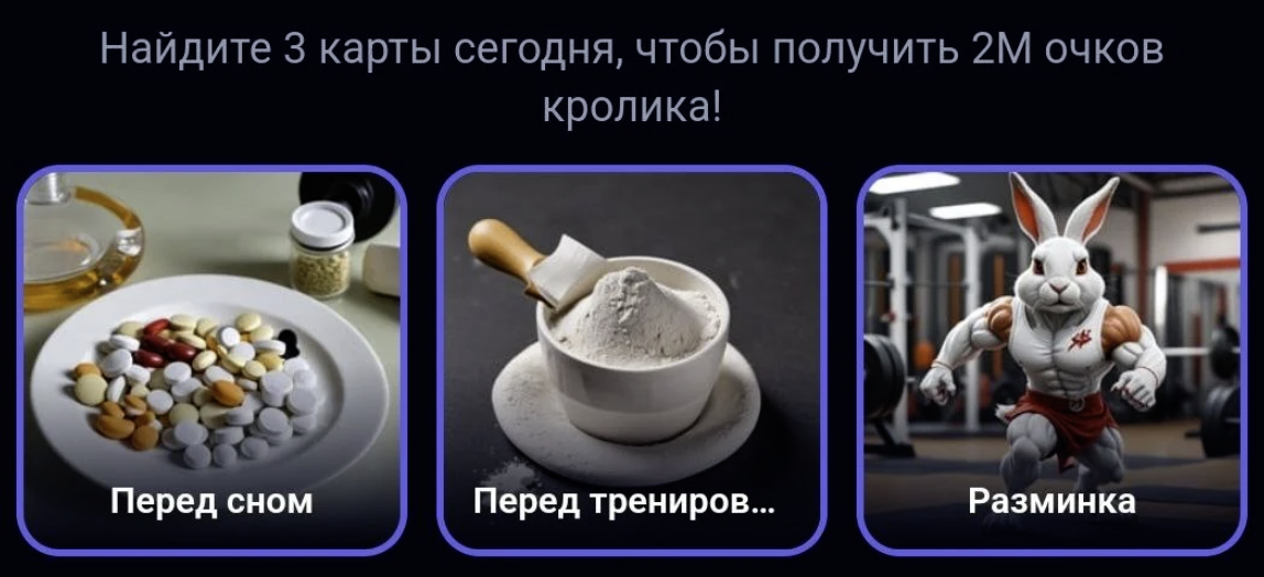 Rocky Rabbit комбо