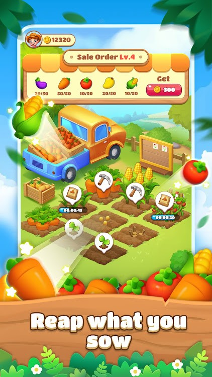 sunny farm отзывы sunny farm отзывы