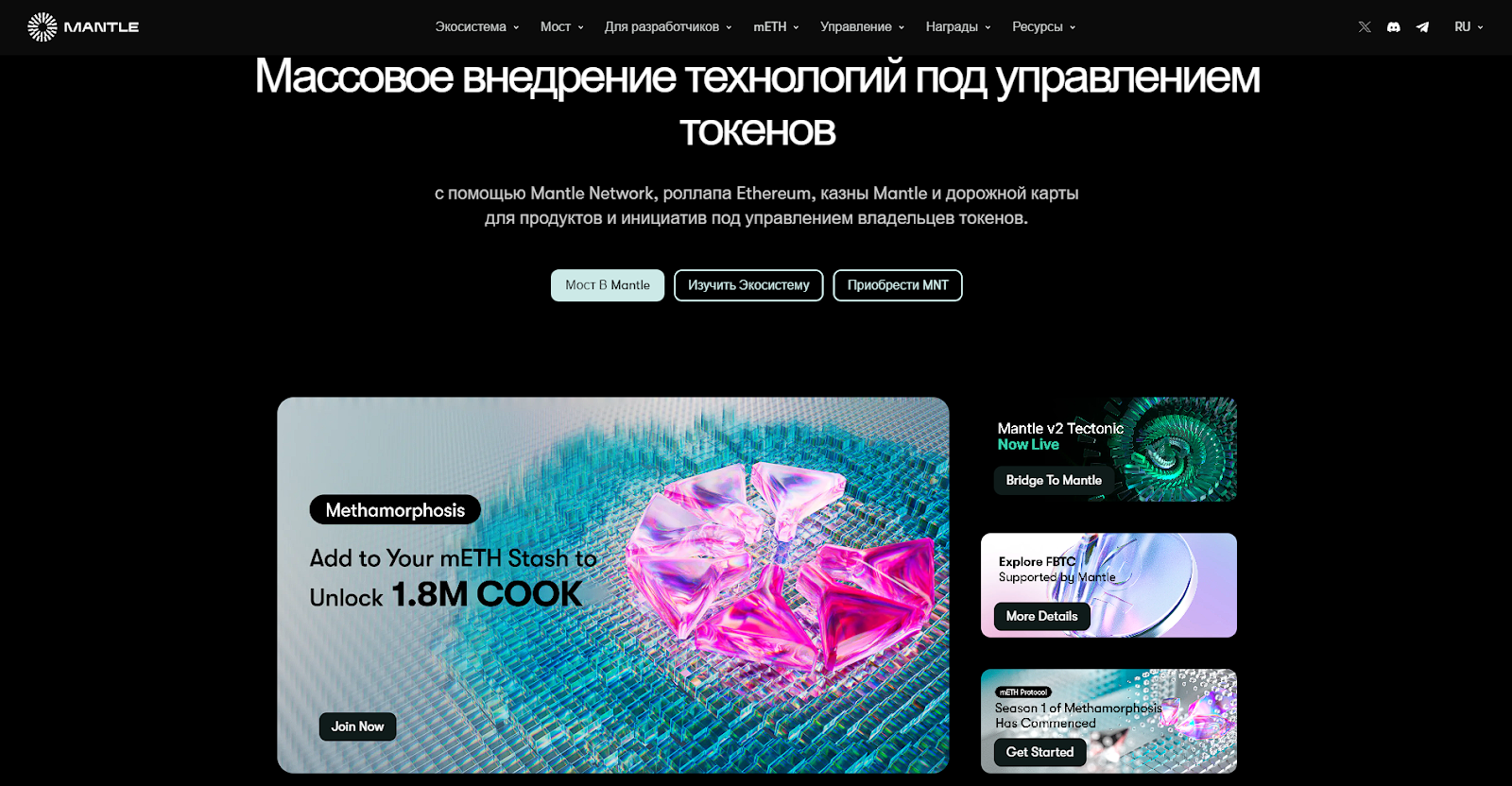 токен mnt токен mnt