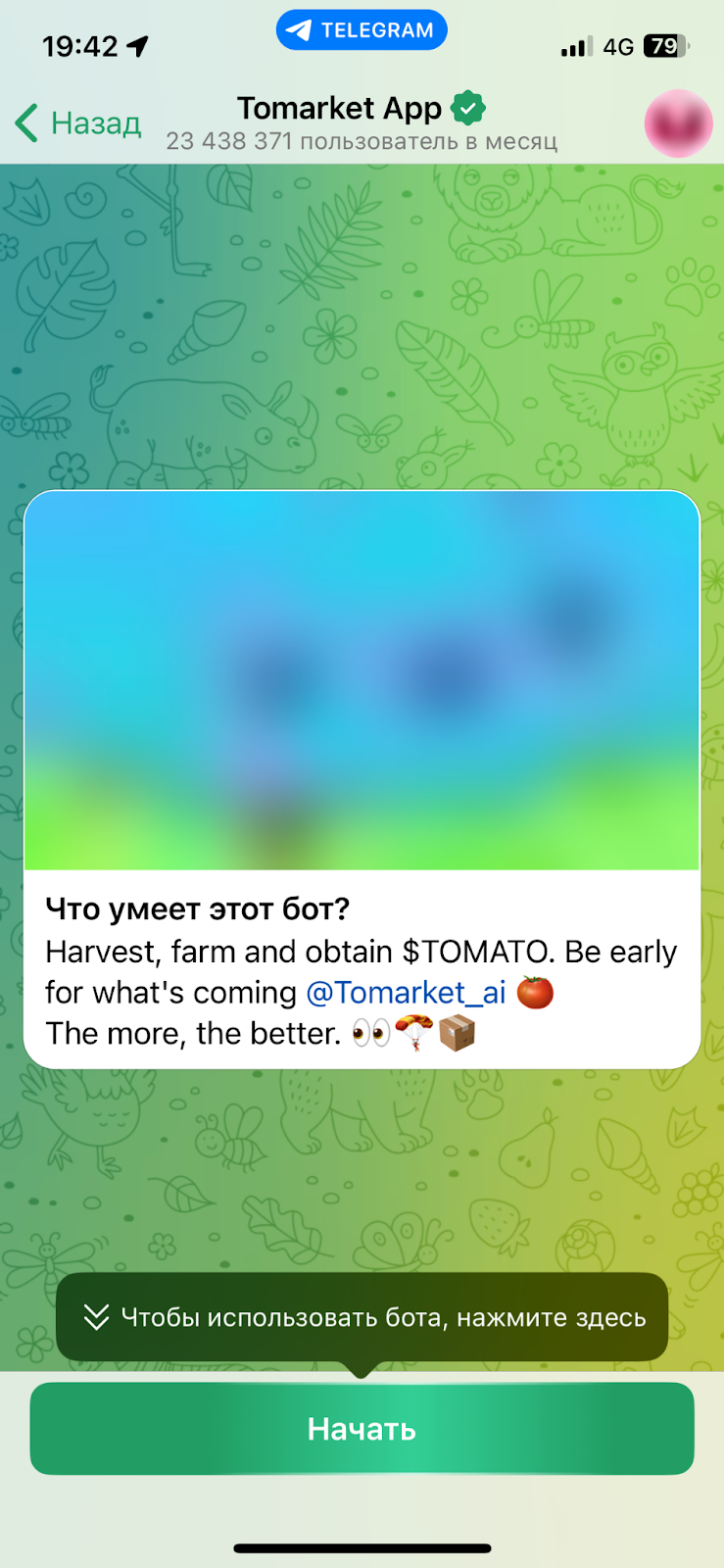 tomarket tomarket