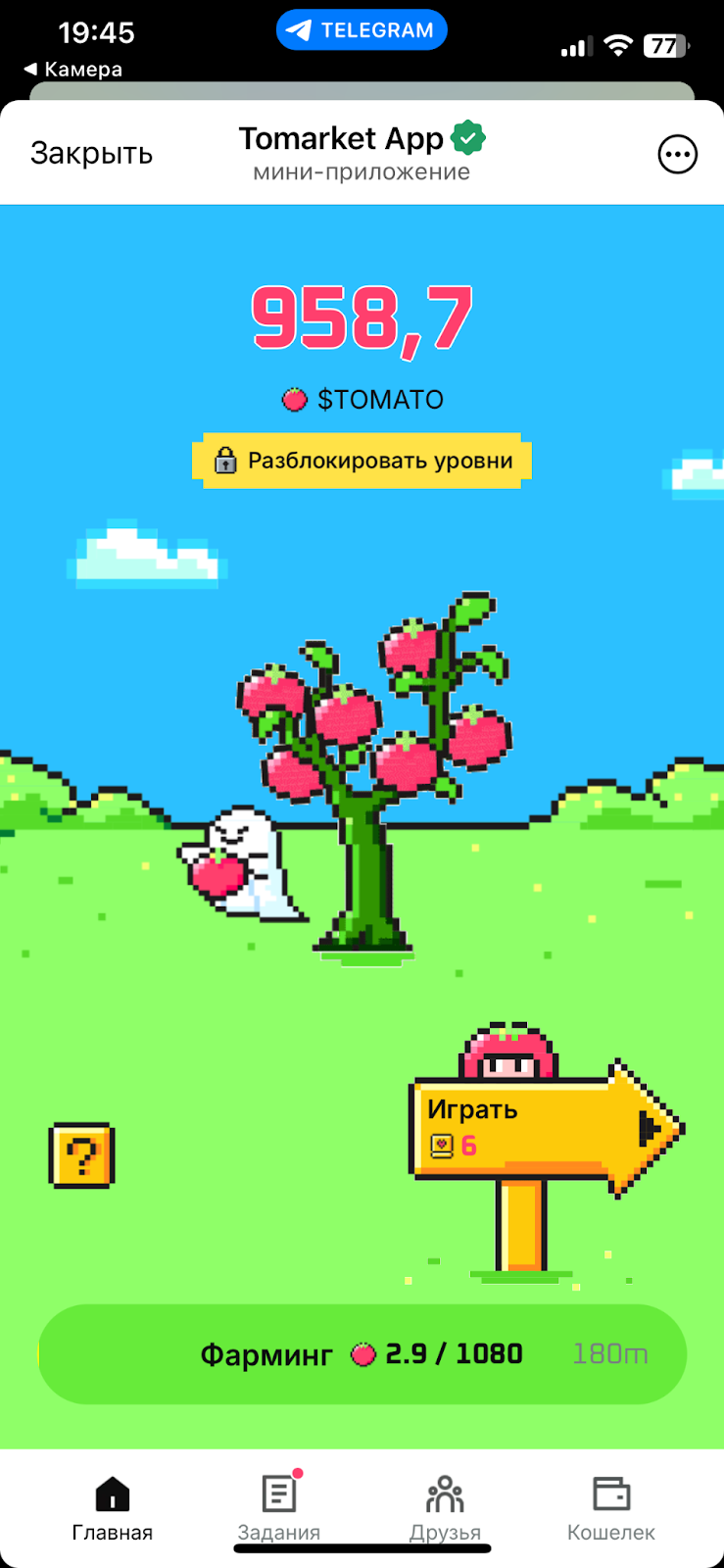 tomarket тапалка tomarket тапалка
