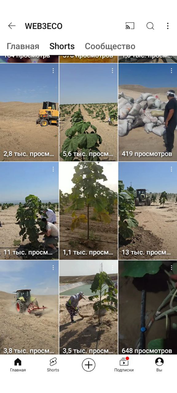 web3eco отзывы web3eco отзывы
