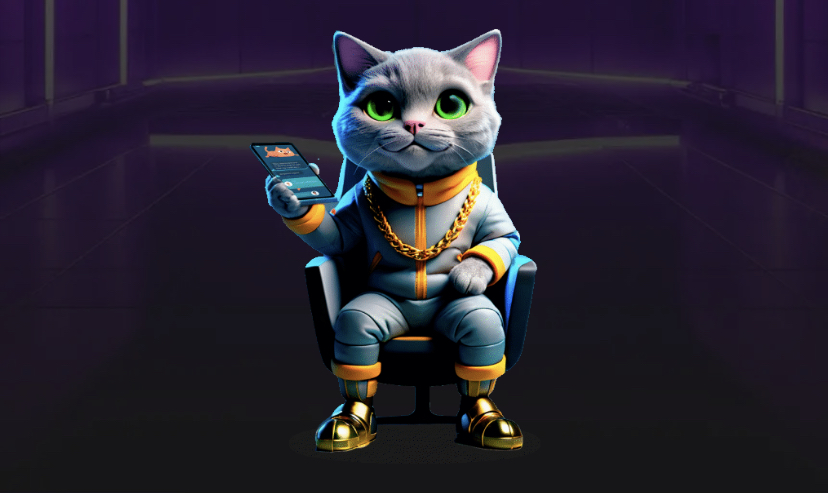 Hash Cats комбо дня Hash Cats комбо дня