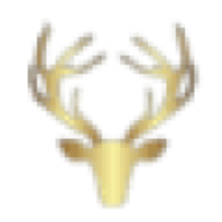 Investrium
