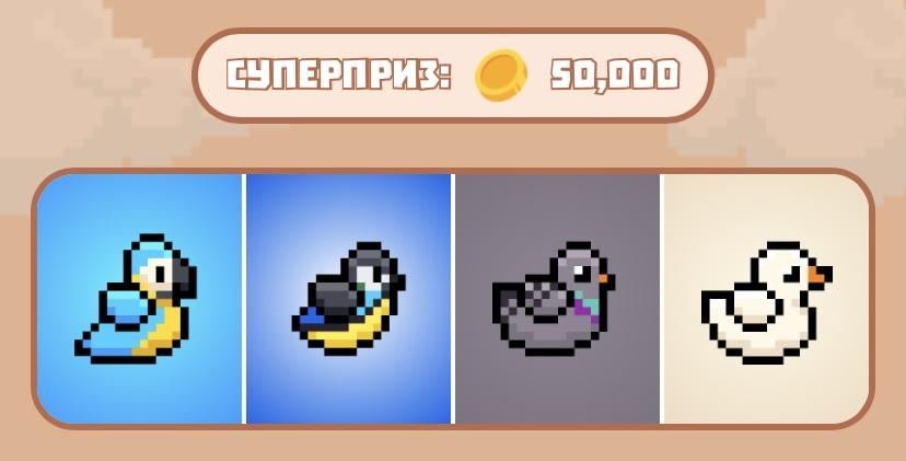 Комбо Bird Ton сегодня Комбо Bird Ton сегодня