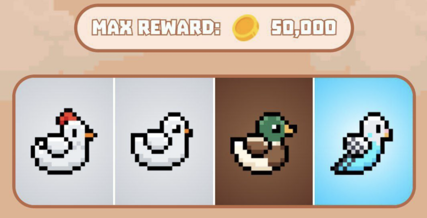 Комбо Bird Ton сегодня Комбо Bird Ton сегодня
