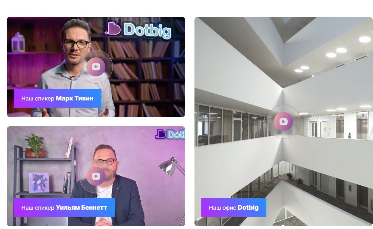 Проект Dotbig
