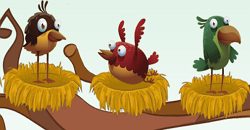 Profit Birds