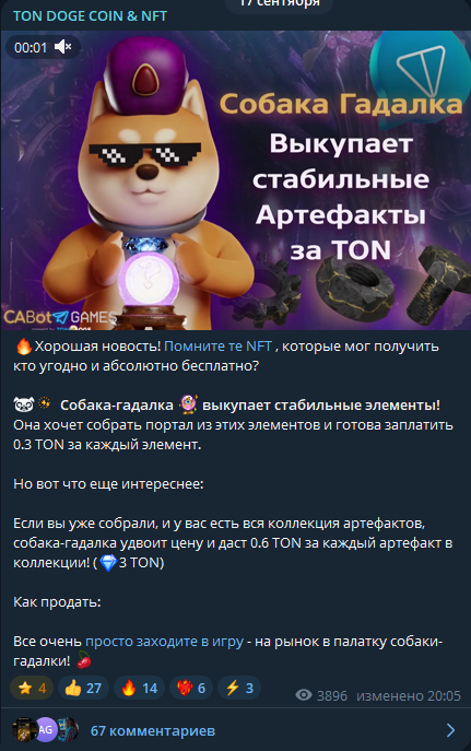ton doge coin ton doge coin