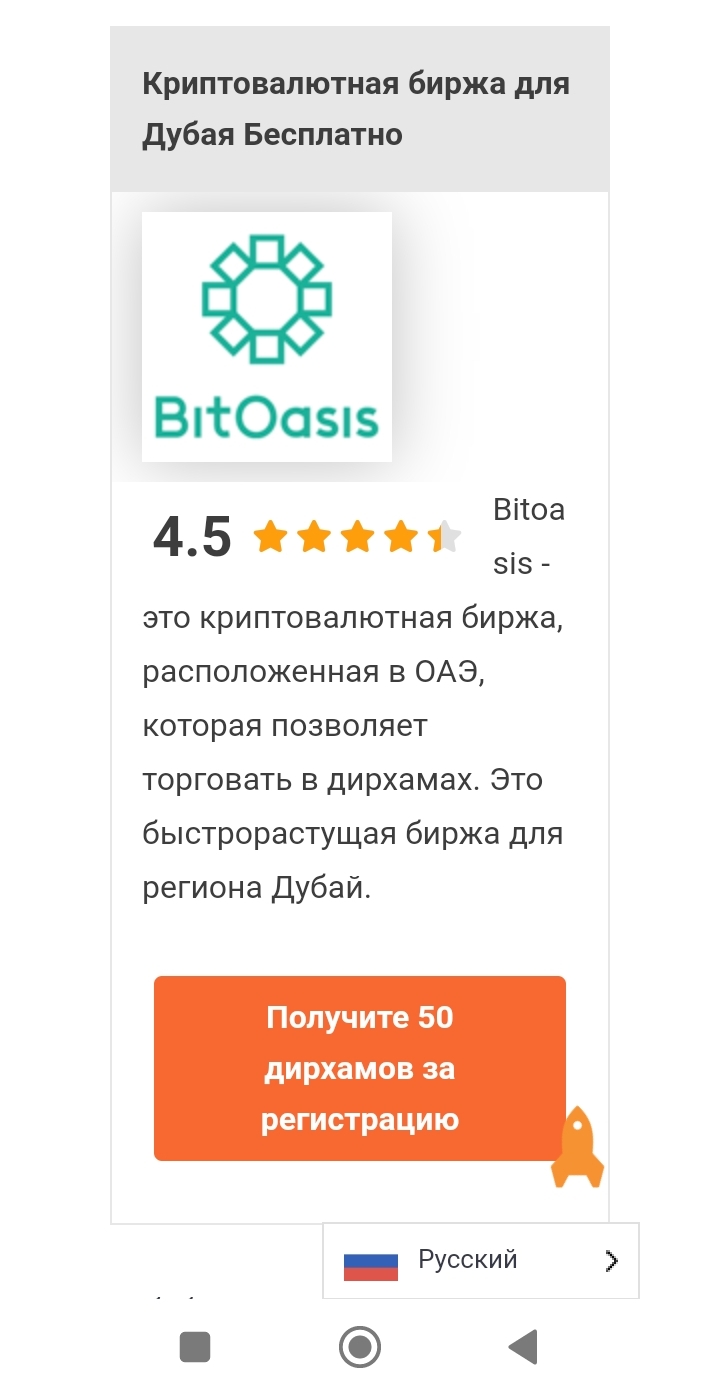 bitoasis bitoasis