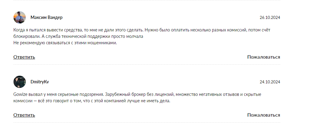 gowize отзывы gowize отзывы