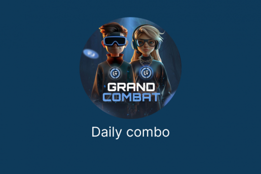 Grand Combat: комбо 10 ноября 2024 года