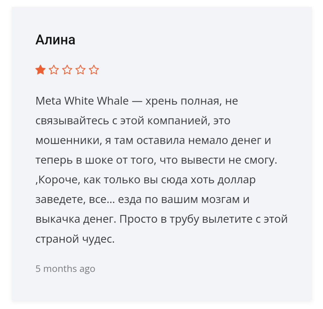 metawhitewhale отзывы metawhitewhale отзывы