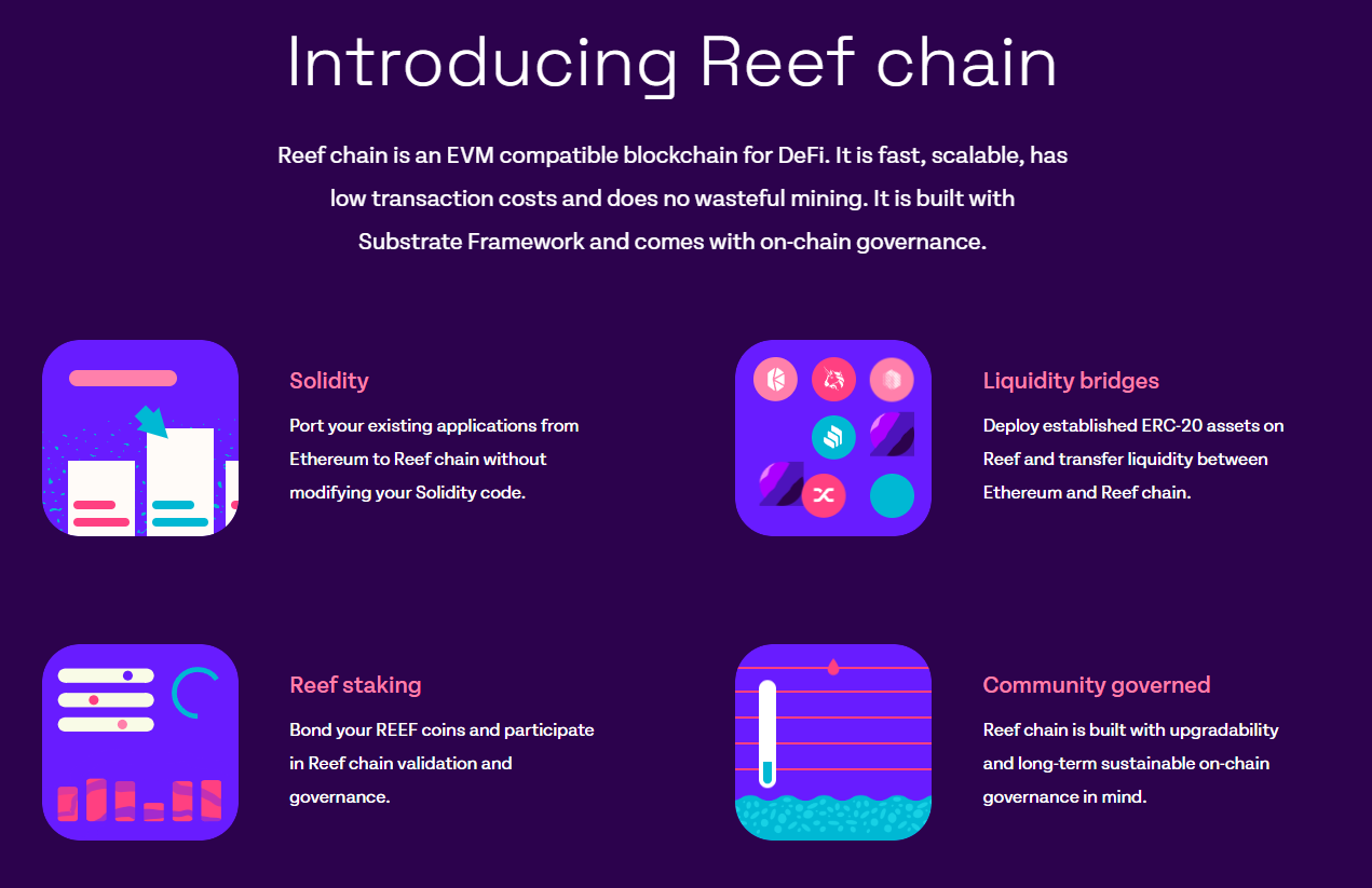 reef reef